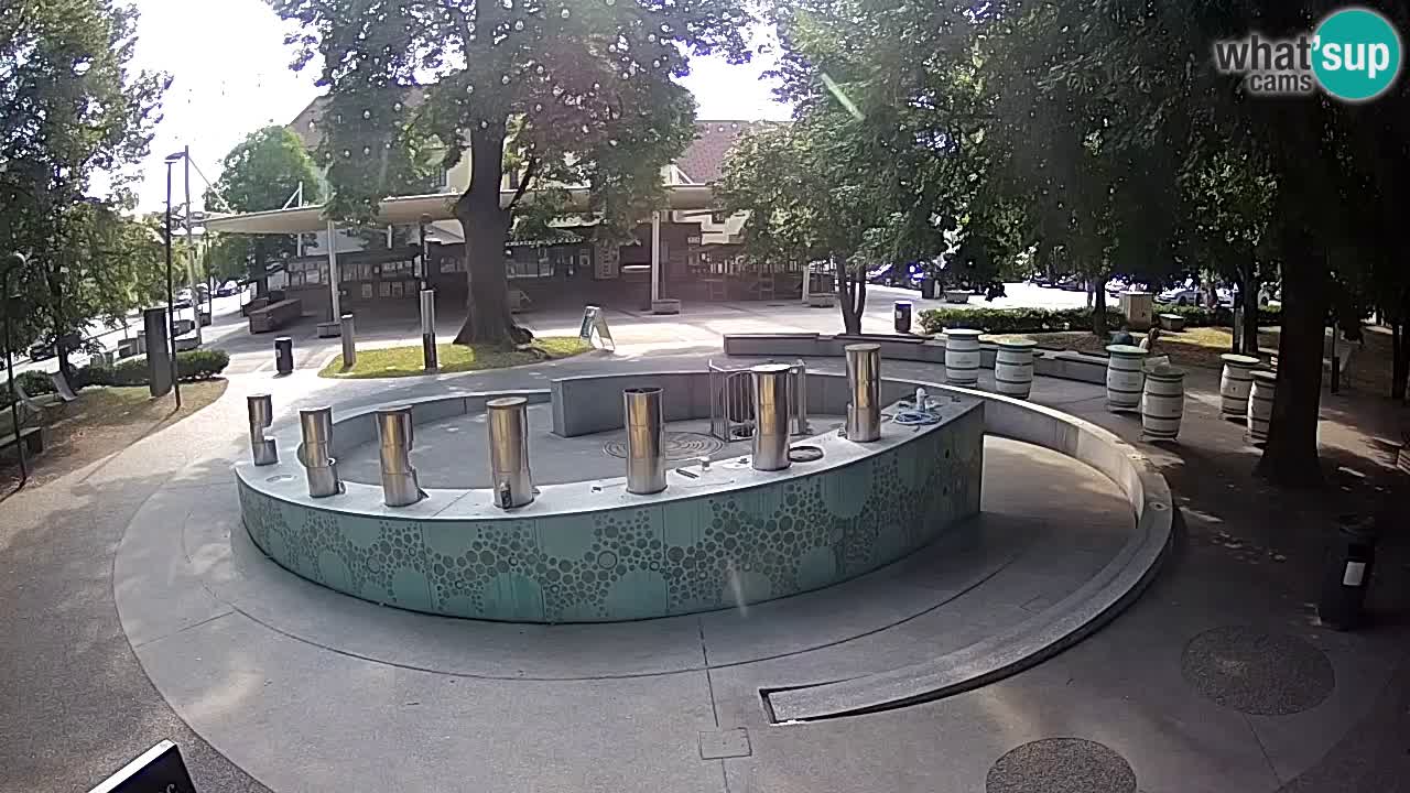LIVEcam Beer fountain – Green Gold – Žalec – Slovenia