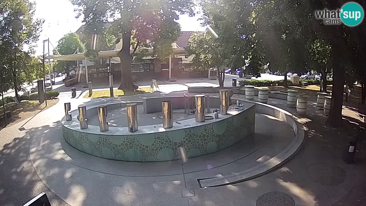 LIVEcam Beer fountain – Green Gold – Žalec – Slovenia