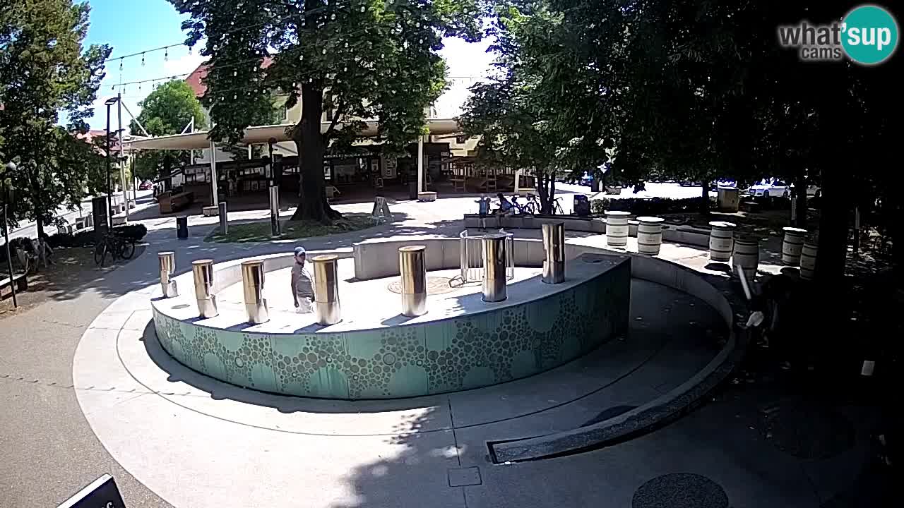 Bier-Springbrunnen Webcam Žalec – Grünen Goldes