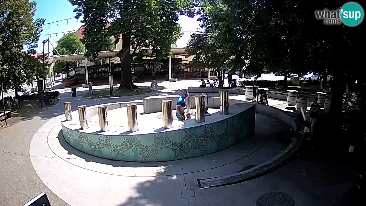 Camera en vivo Fuente de cerveza – Oro verde – Žalec