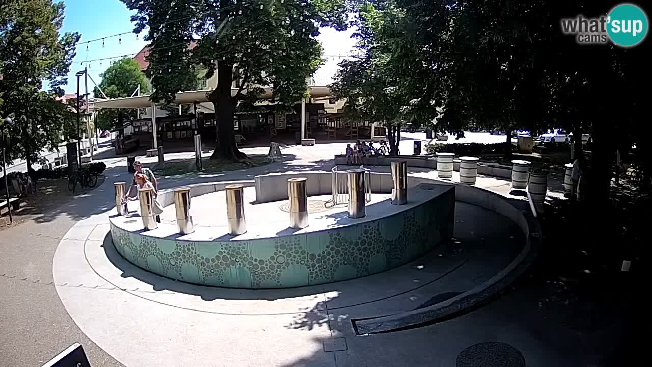 Bier-Springbrunnen Webcam Žalec – Grünen Goldes
