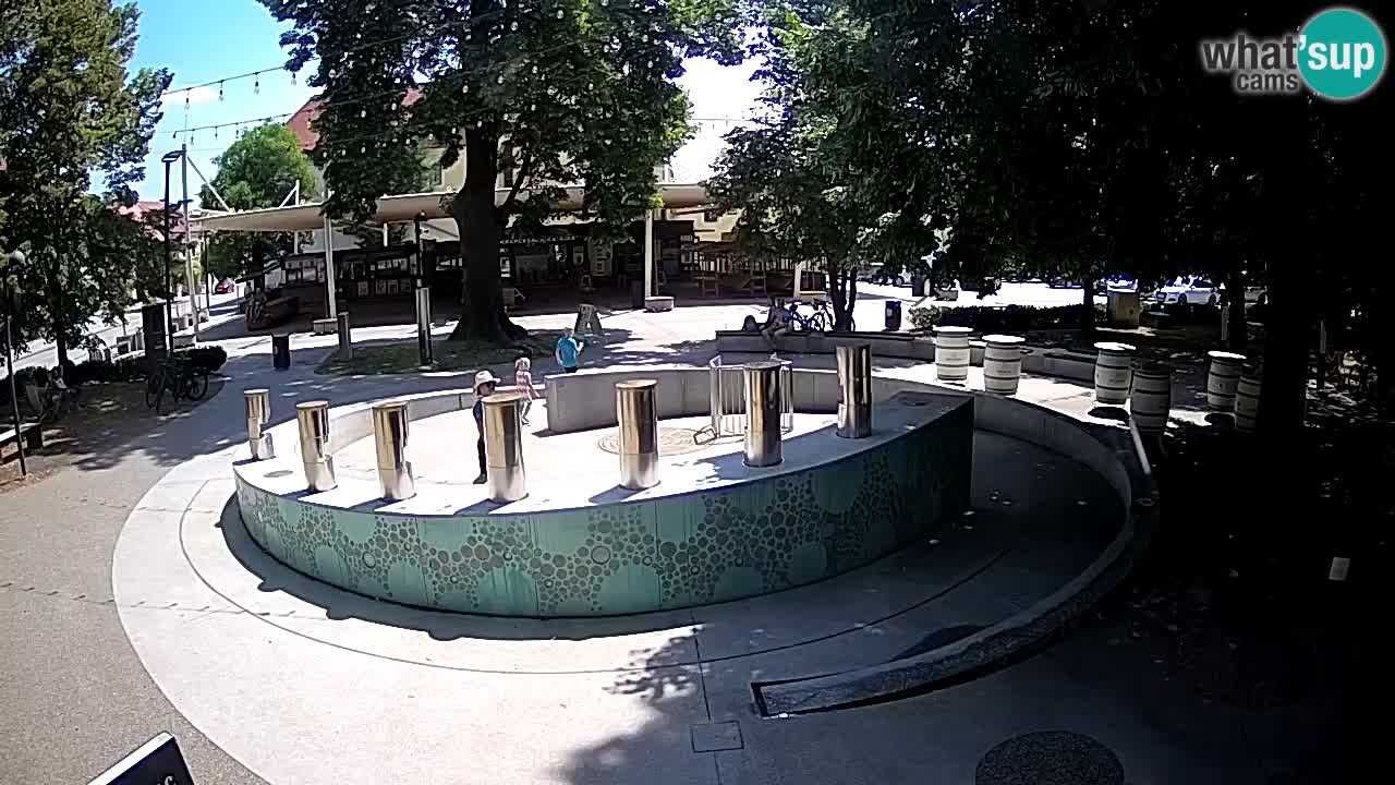 Bier-Springbrunnen Webcam Žalec – Grünen Goldes