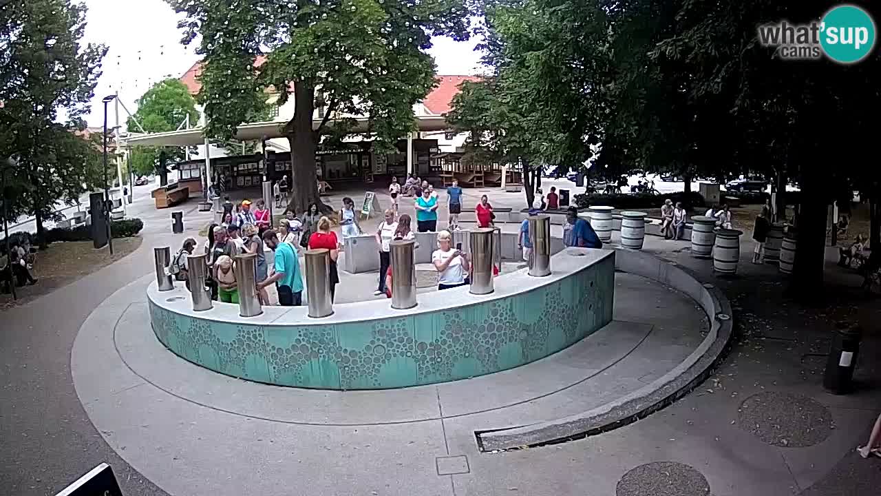 Fontaine à bière LIVE webcam – Or vert – Žalec