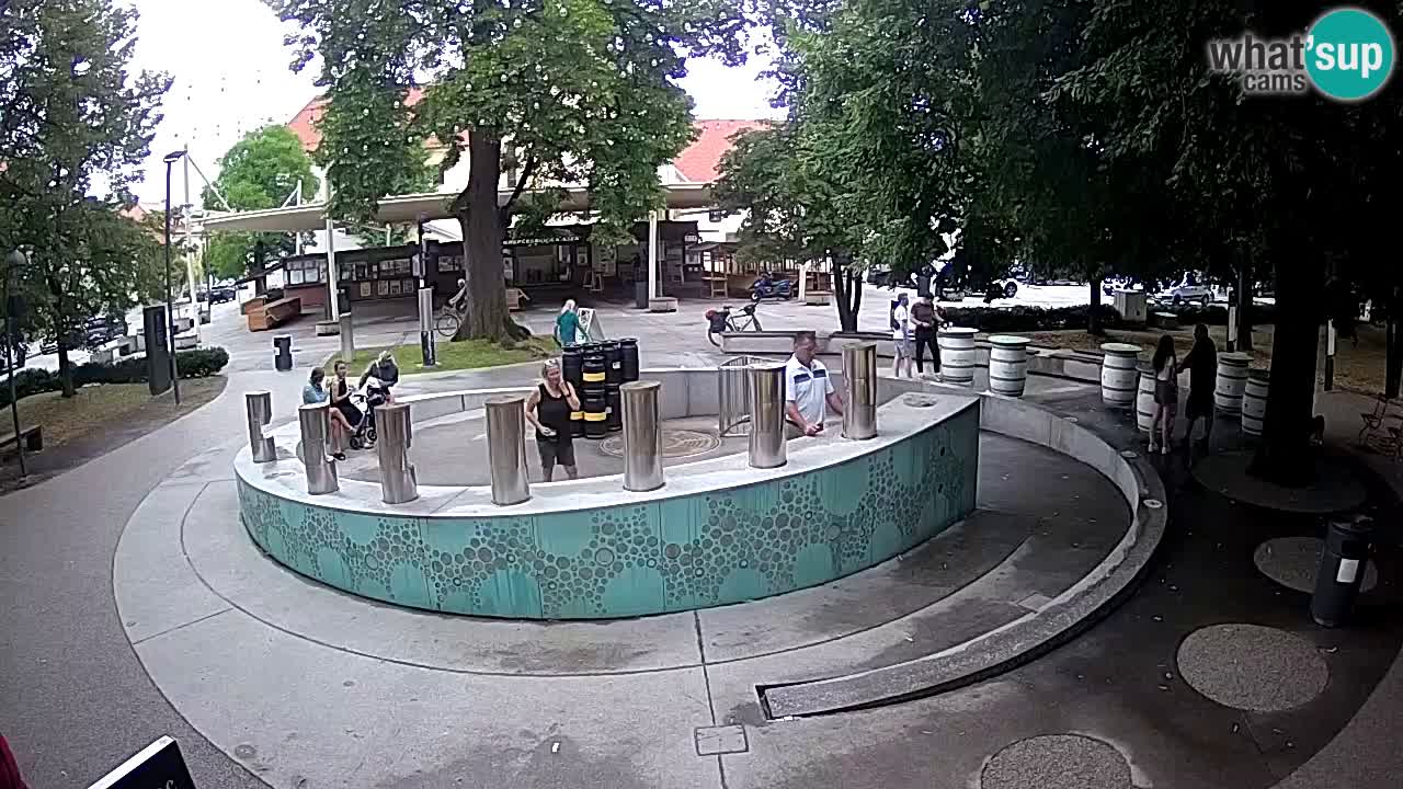 Bier-Springbrunnen Webcam Žalec – Grünen Goldes