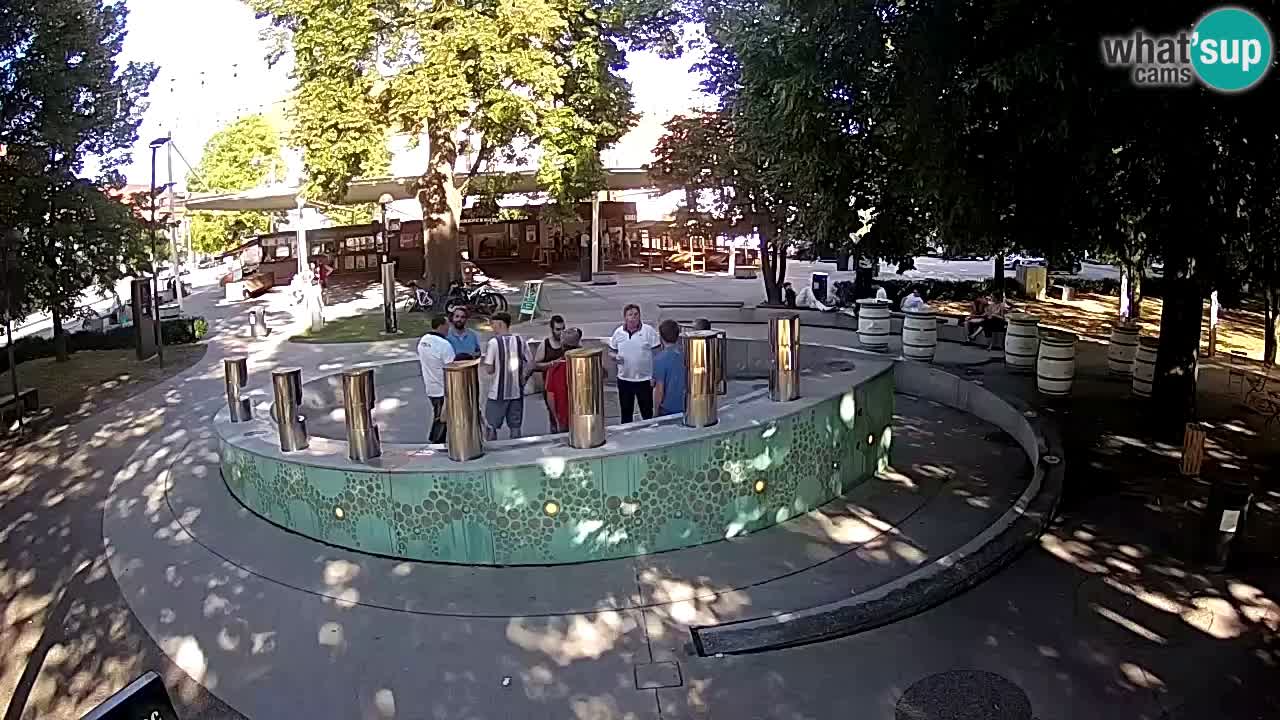 Camera en vivo Fuente de cerveza – Oro verde – Žalec