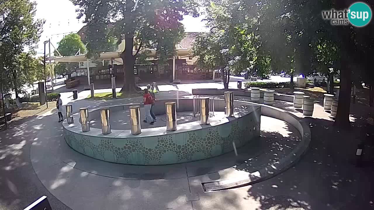 Fontaine à bière LIVE webcam – Or vert – Žalec