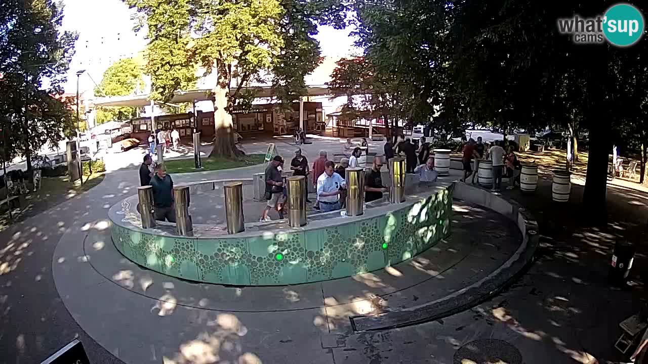 LIVEcam Beer fountain – Green Gold – Žalec – Slovenia
