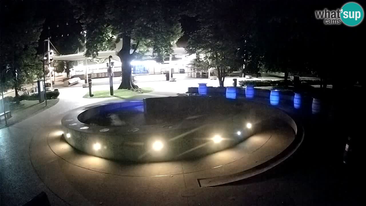 LIVEcam Beer fountain – Green Gold – Žalec – Slovenia