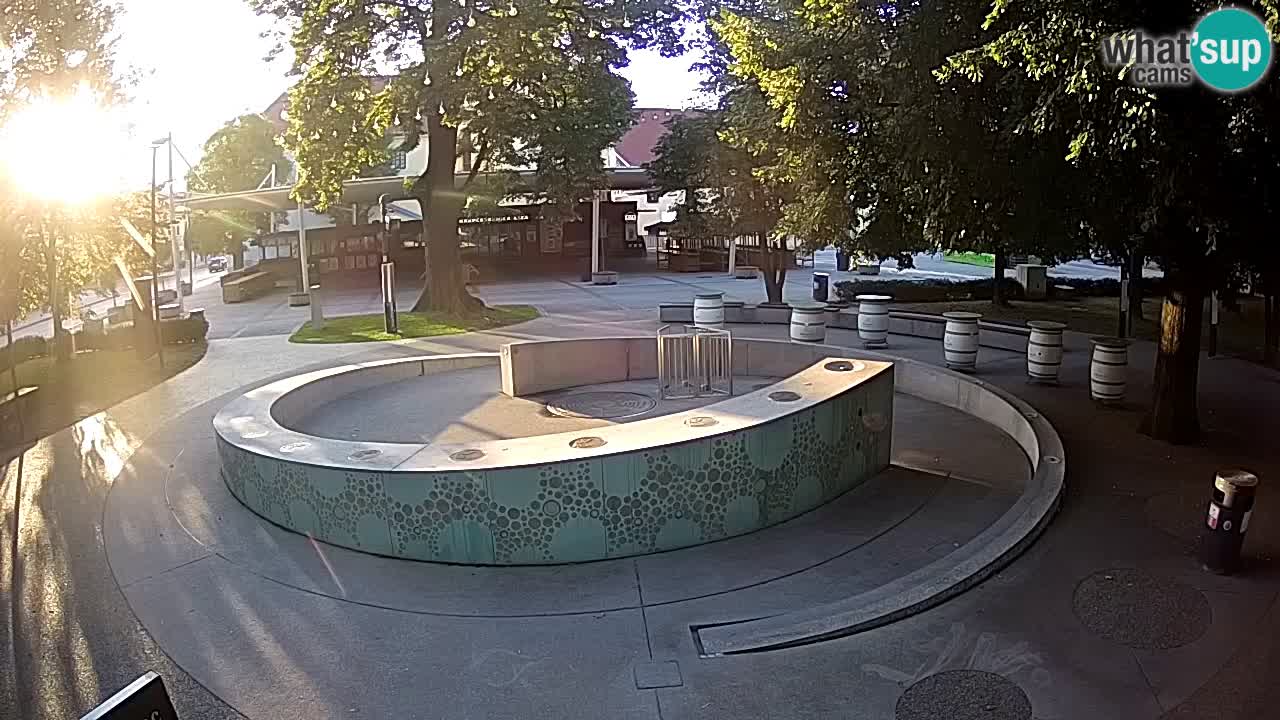 Web kamera Fontana piva – Zeleno zlato – Žalec