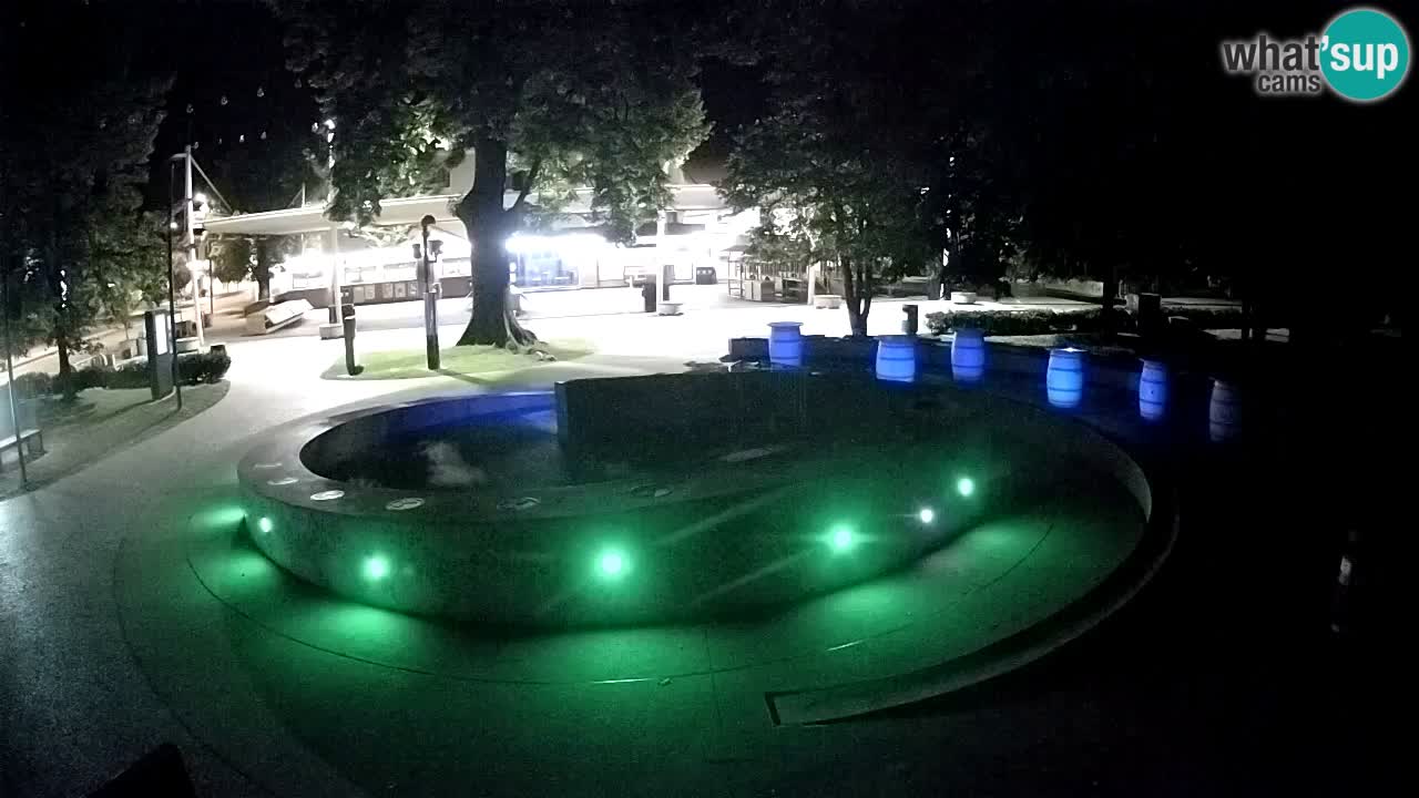 Fontana di birra Webcam – Oro verde – Žalec