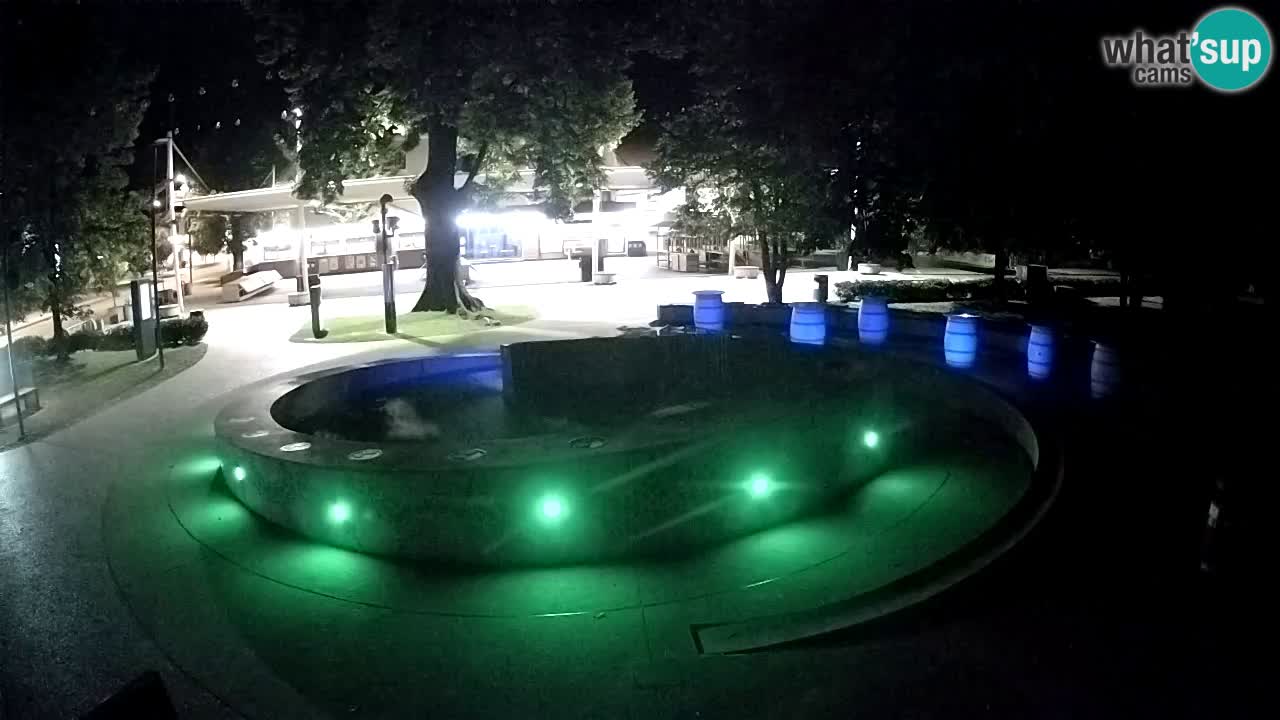 Fontana di birra Webcam – Oro verde – Žalec