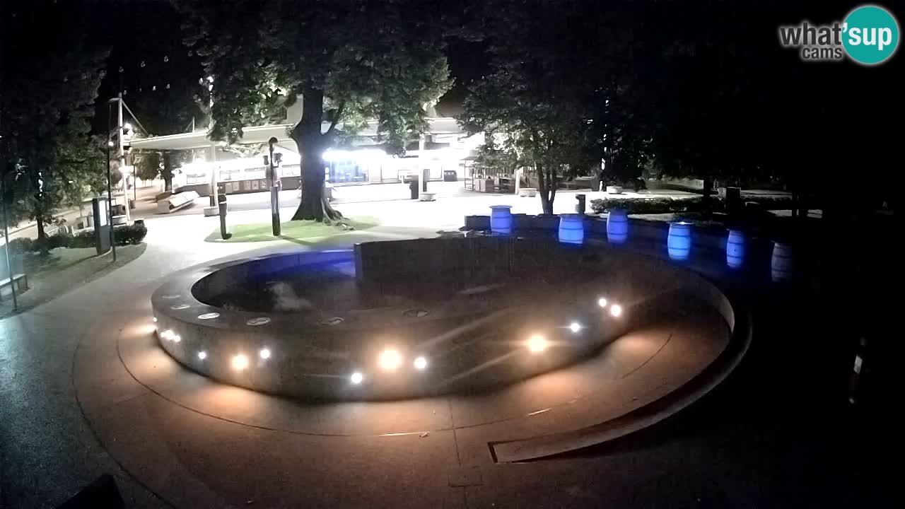 Bier-Springbrunnen Webcam Žalec – Grünen Goldes