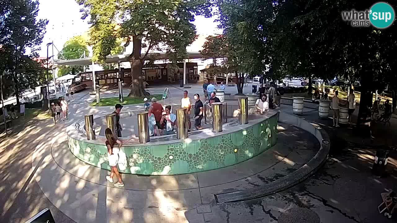 Fontaine à bière LIVE webcam – Or vert – Žalec