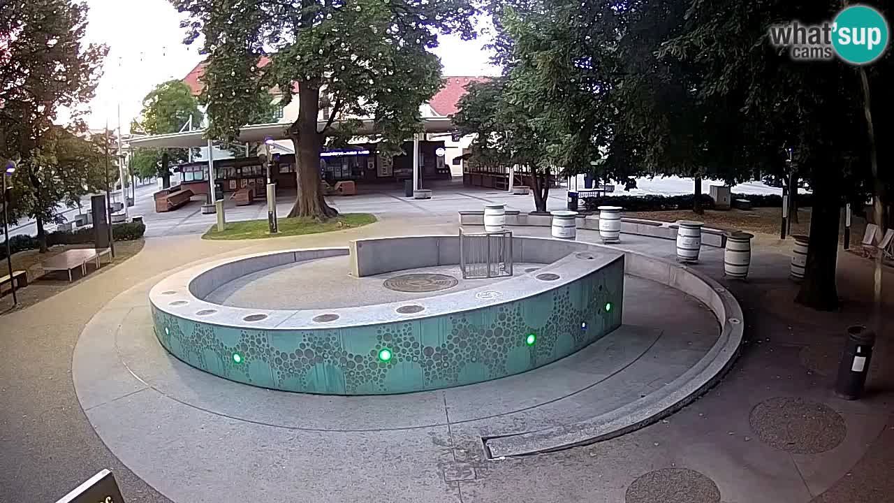 Fontana di birra Webcam – Oro verde – Žalec