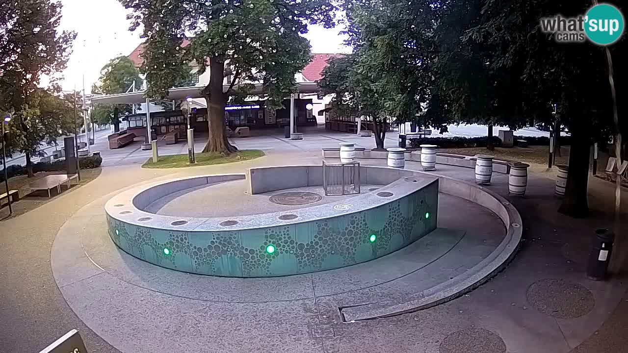 Bier-Springbrunnen Webcam Žalec – Grünen Goldes