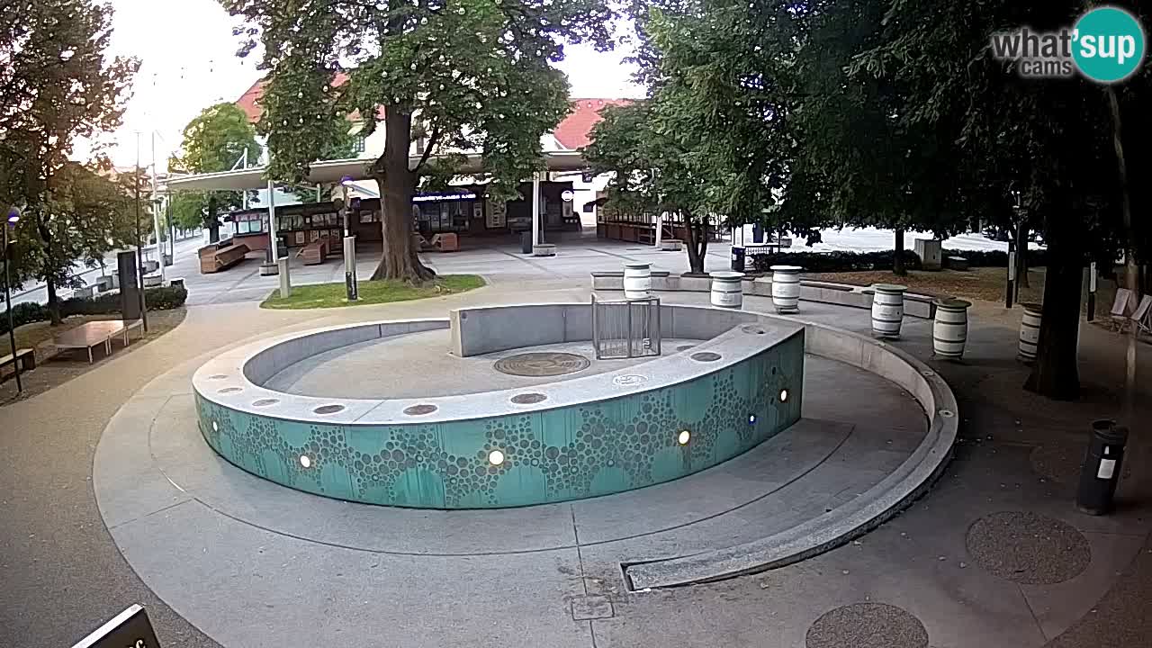 Fontaine à bière LIVE webcam – Or vert – Žalec