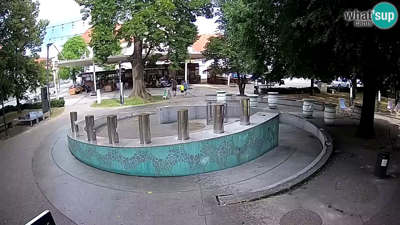 Camera en vivo Fuente de cerveza – Oro verde – Žalec