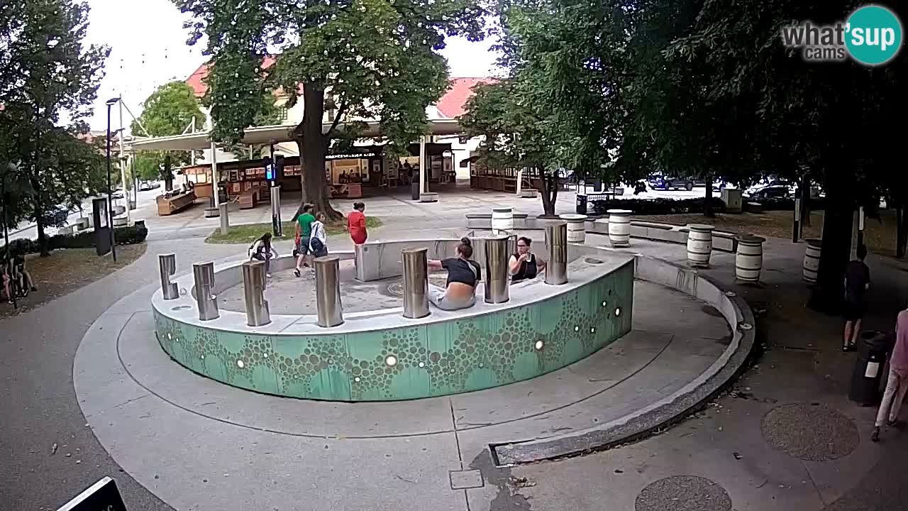 Spletna kamera Fontana Piv – Zeleno zlato Žalec
