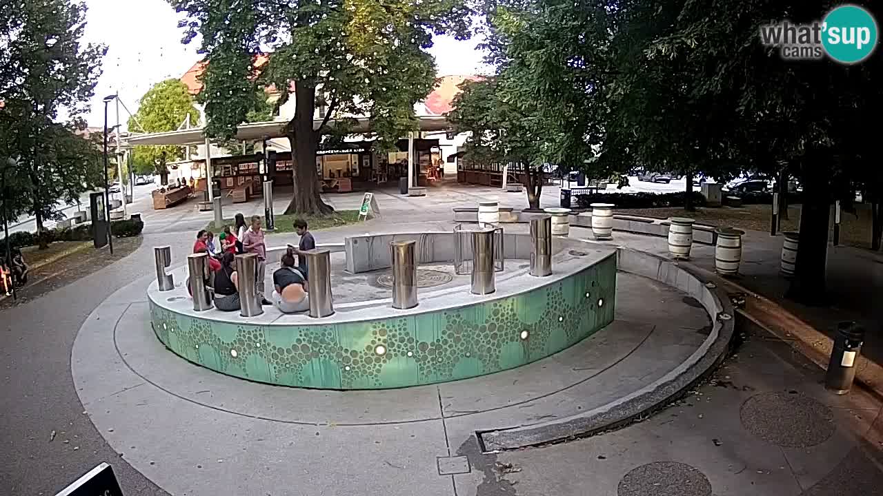 Spletna kamera Fontana Piv – Zeleno zlato Žalec