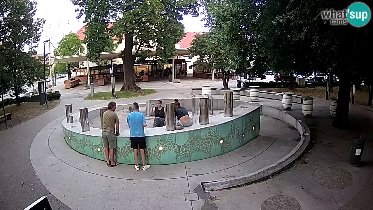 Camera en vivo Fuente de cerveza – Oro verde – Žalec