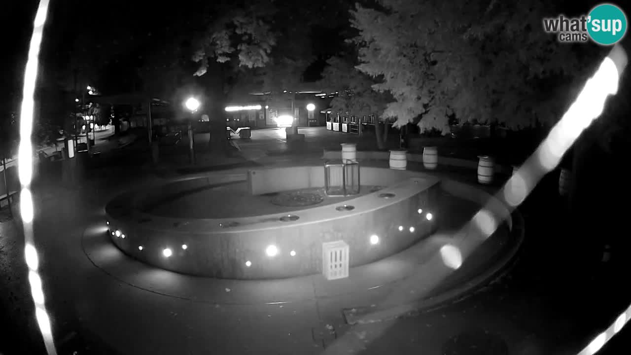 Fontana di birra Webcam – Oro verde – Žalec