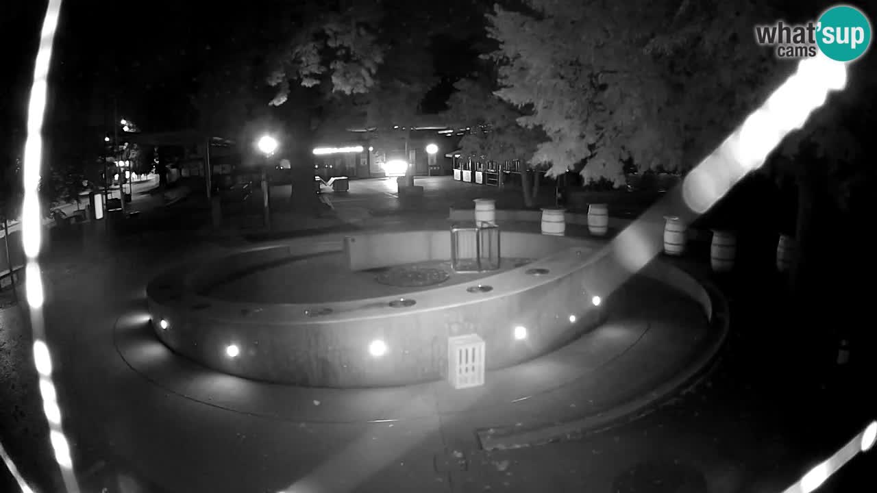 Fontaine à bière LIVE webcam – Or vert – Žalec