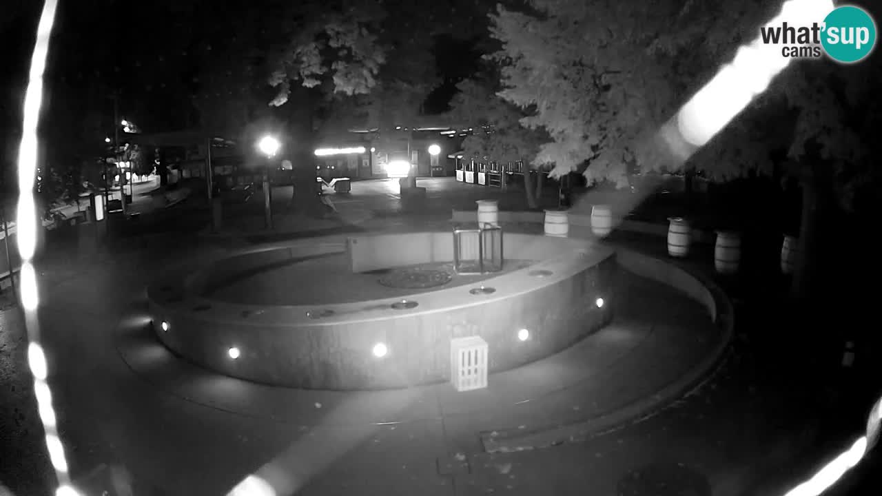 Camera en vivo Fuente de cerveza – Oro verde – Žalec
