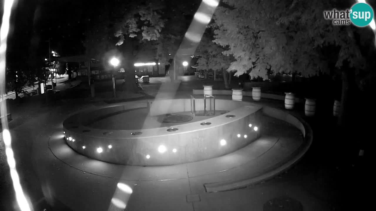 LIVEcam Beer fountain – Green Gold – Žalec – Slovenia