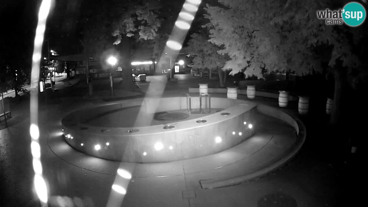 LIVEcam Beer fountain – Green Gold – Žalec – Slovenia