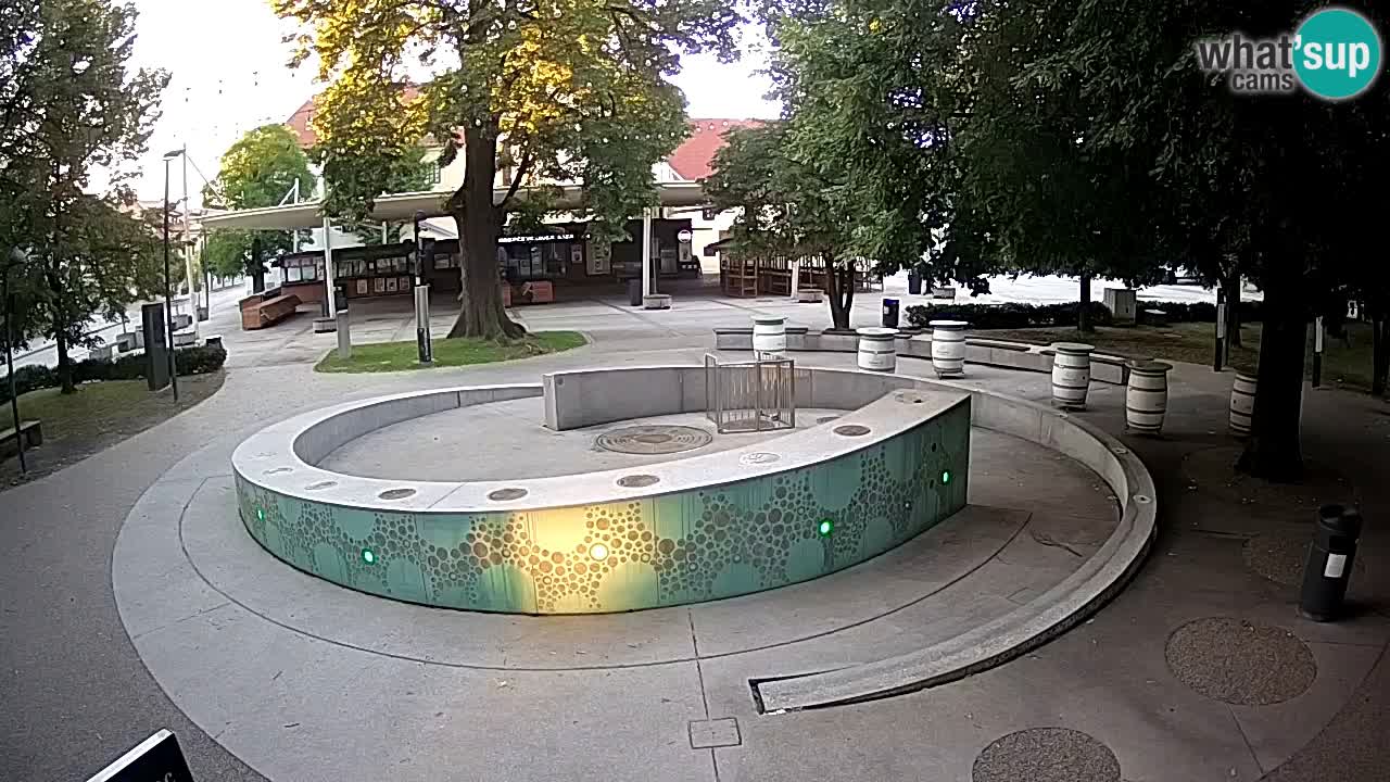 Fontaine à bière LIVE webcam – Or vert – Žalec
