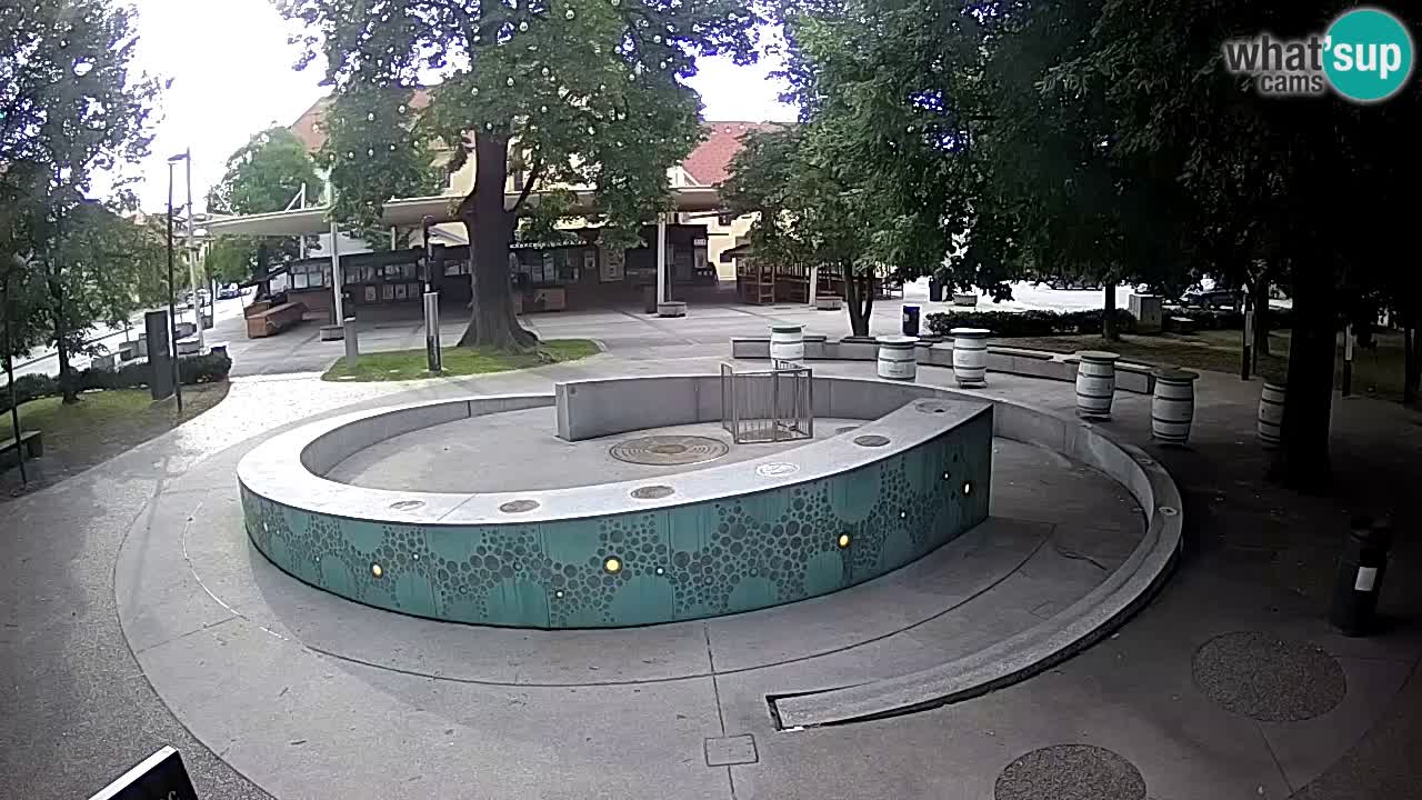 Fontana di birra Webcam – Oro verde – Žalec