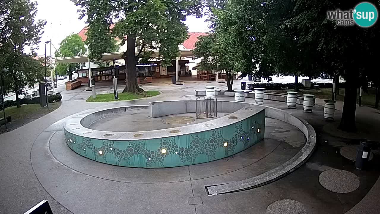 Spletna kamera Fontana Piv – Zeleno zlato Žalec