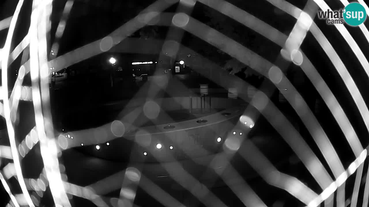 Bier-Springbrunnen Webcam Žalec – Grünen Goldes