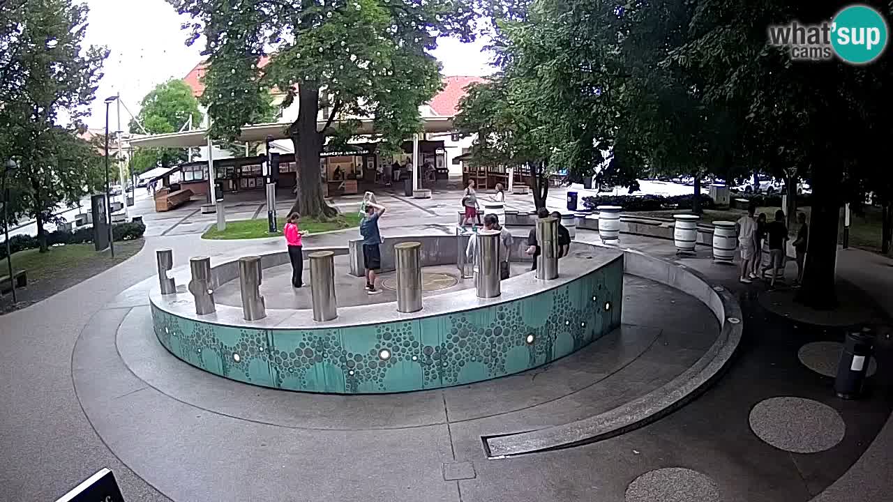 LIVEcam Beer fountain – Green Gold – Žalec – Slovenia