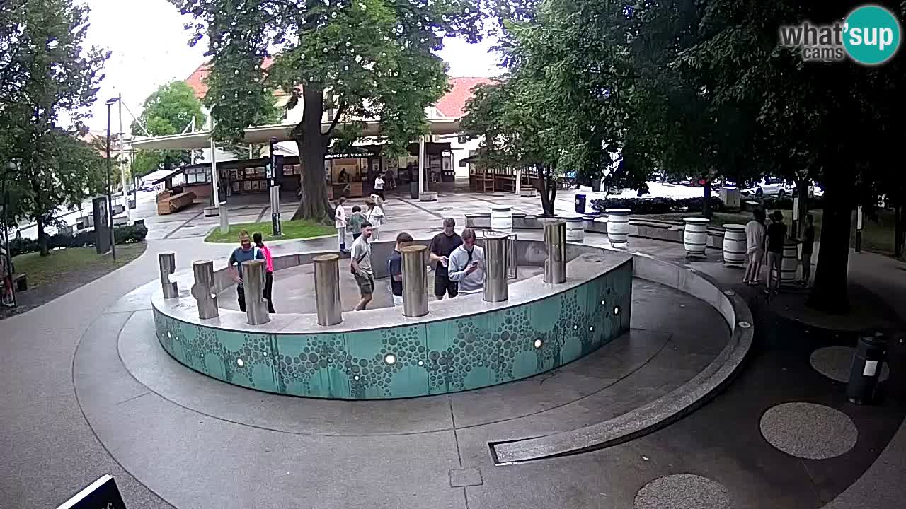 Web kamera Fontana piva – Zeleno zlato – Žalec