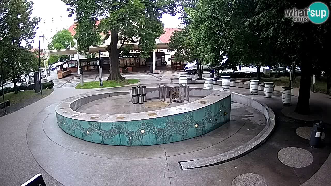 Bier-Springbrunnen Webcam Žalec – Grünen Goldes