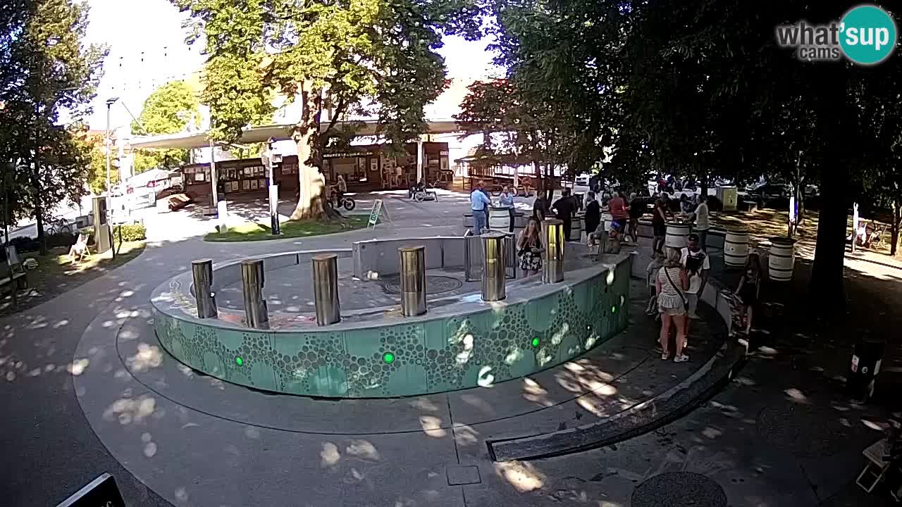 Web kamera Fontana piva – Zeleno zlato – Žalec