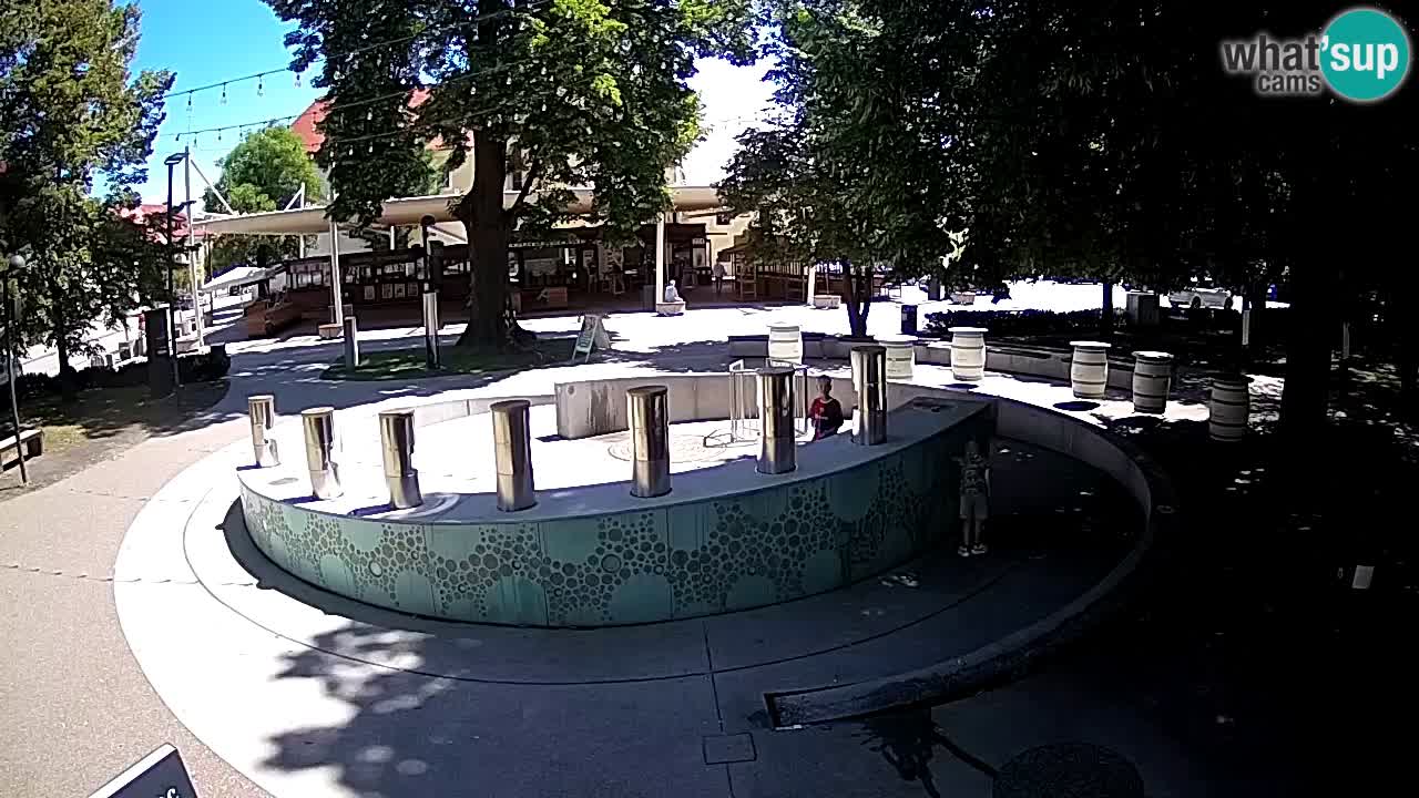 Spletna kamera Fontana Piv – Zeleno zlato Žalec