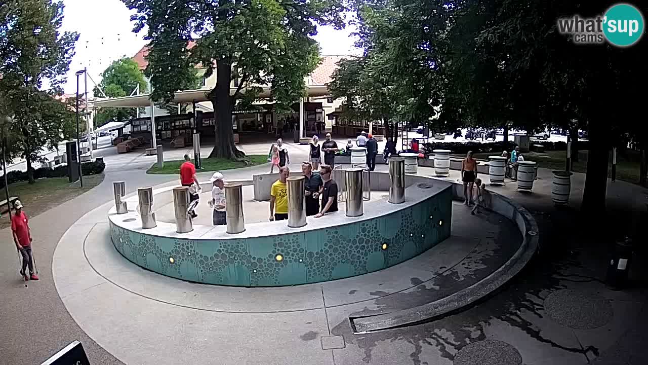 Fontaine à bière LIVE webcam – Or vert – Žalec