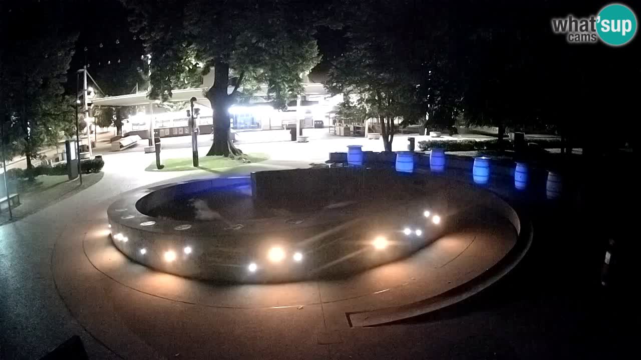 Spletna kamera Fontana Piv – Zeleno zlato Žalec