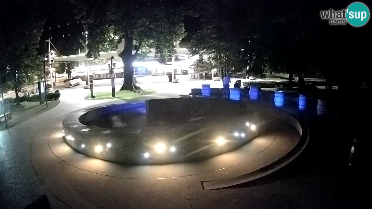 Fontana di birra Webcam – Oro verde – Žalec