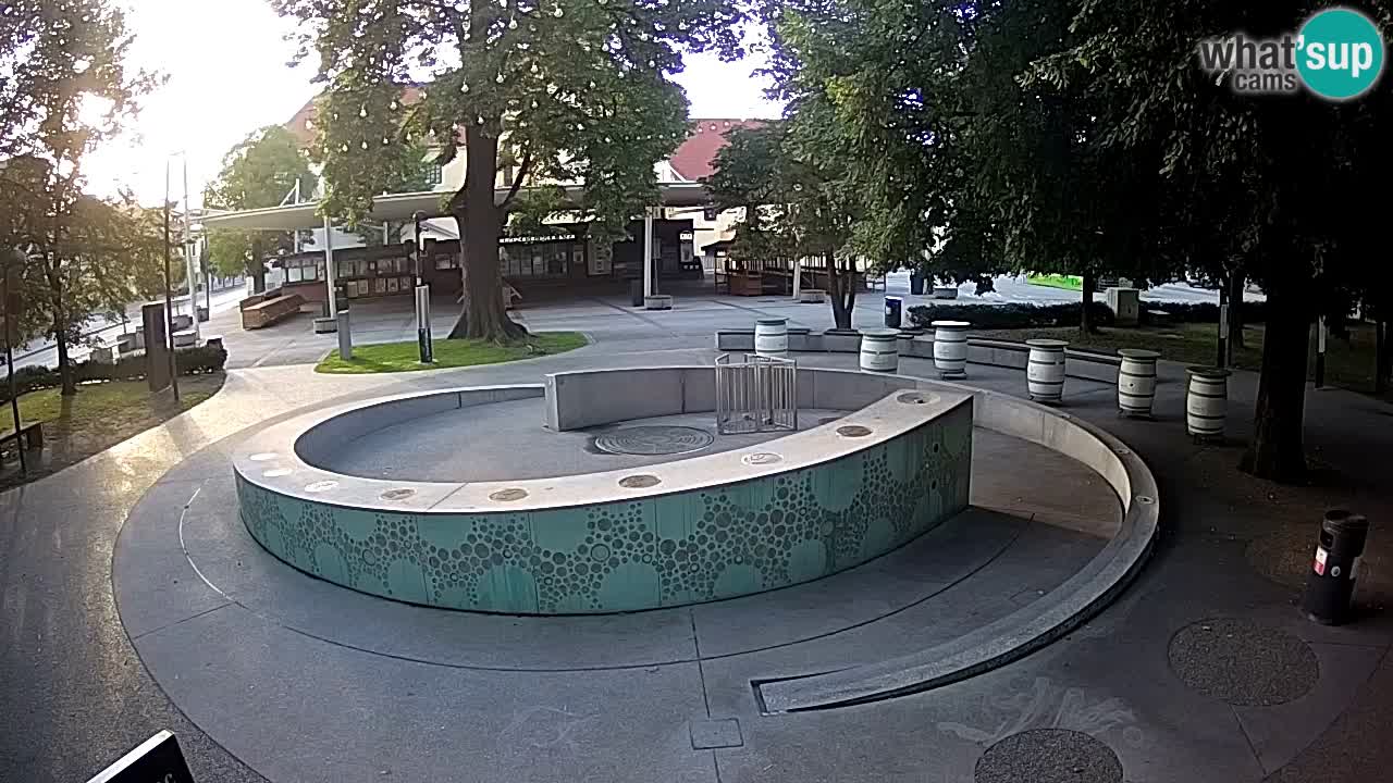 Fontaine à bière LIVE webcam – Or vert – Žalec