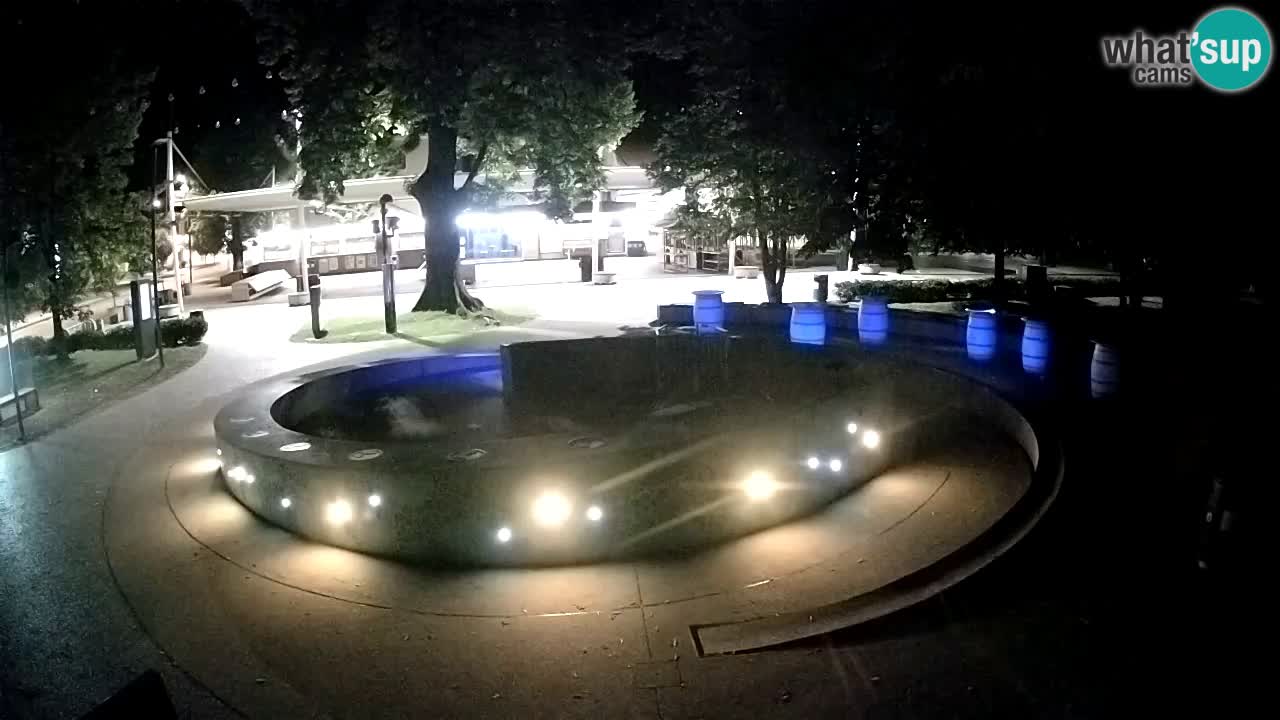 Fontana di birra Webcam – Oro verde – Žalec
