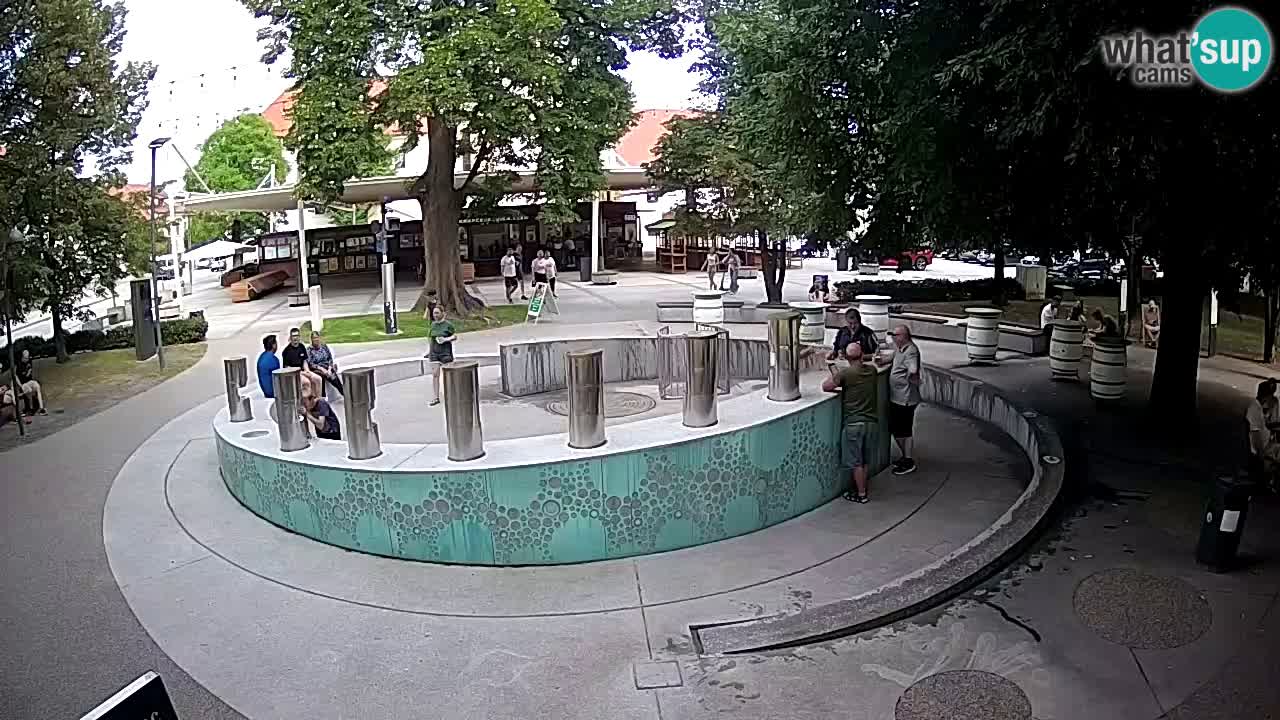 Camera en vivo Fuente de cerveza – Oro verde – Žalec