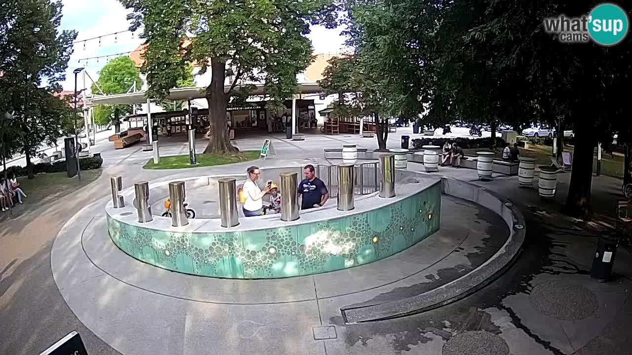 LIVEcam Beer fountain – Green Gold – Žalec – Slovenia
