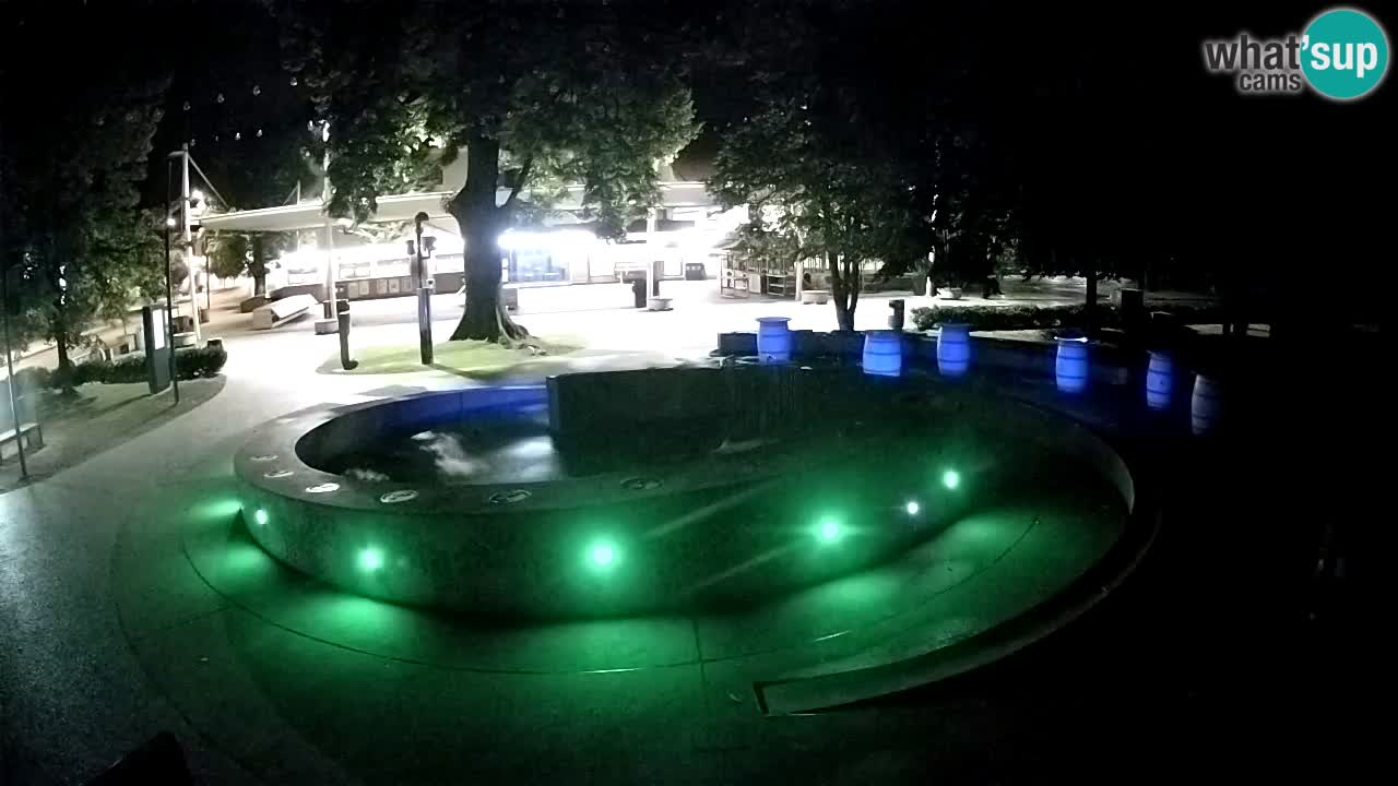 Bier-Springbrunnen Webcam Žalec – Grünen Goldes