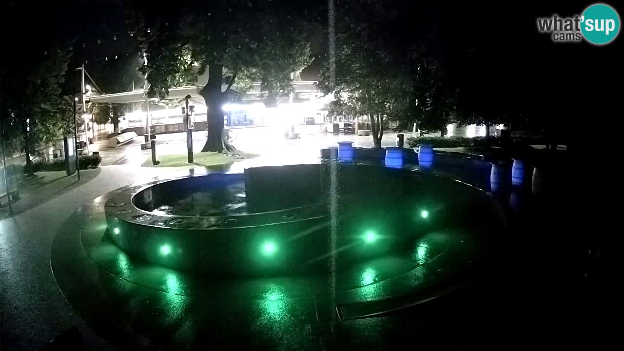 Fontana di birra Webcam – Oro verde – Žalec
