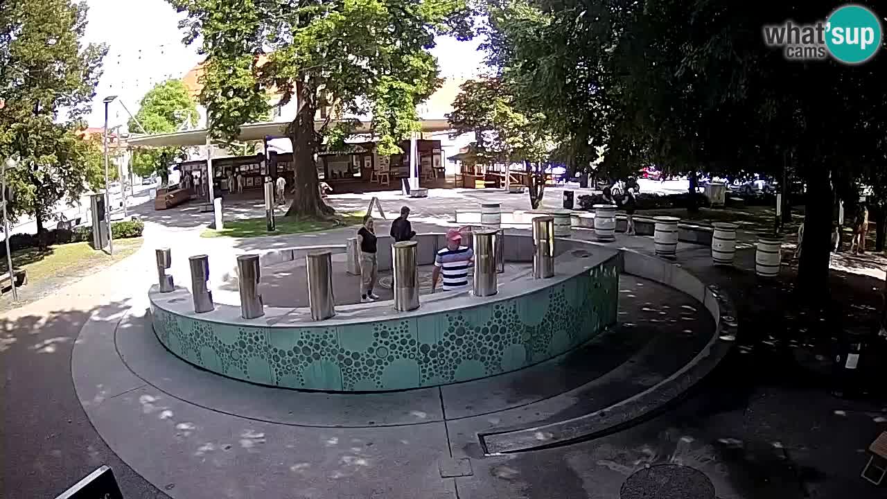 Bier-Springbrunnen Webcam Žalec – Grünen Goldes