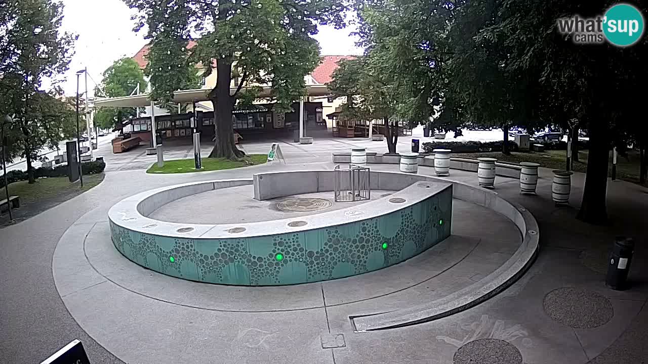 Web kamera Fontana piva – Zeleno zlato – Žalec