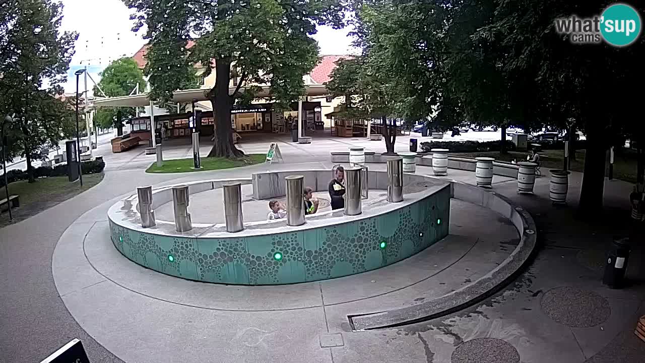 Web kamera Fontana piva – Zeleno zlato – Žalec